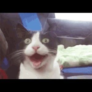 Meet your Posher, Silver